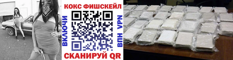 Cocaine FishScale  Купить закладки  Истра 
