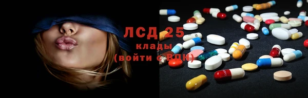 эйфоретик Инта